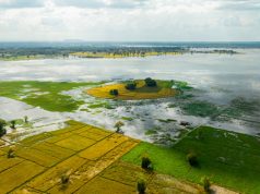 Climate Catastrophe: Pakistan’s Flood Emergency and the Global Call for Action
