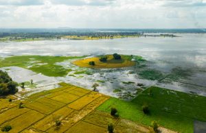 Climate Catastrophe: Pakistan’s Flood Emergency and the Global Call for Action